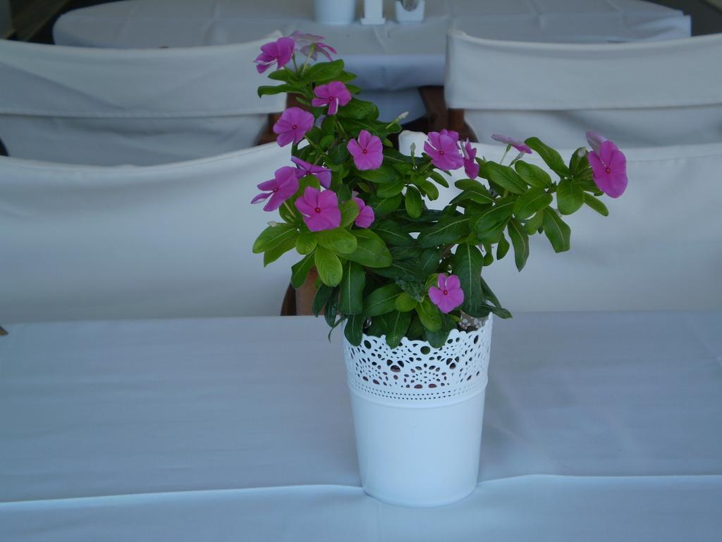 Athena Hotel Milopotamos  Exterior photo